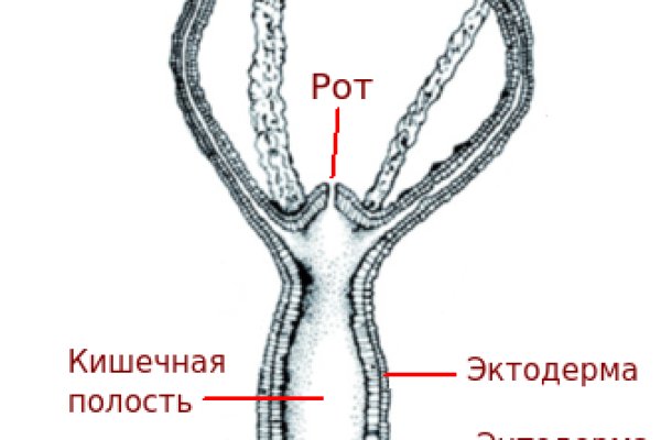 Кракен ссылки krakenwebs org