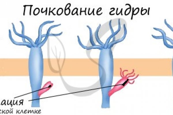 Кракен сайт в тор браузере ссылка