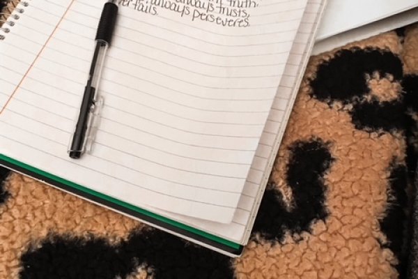 Магазины наркотиков