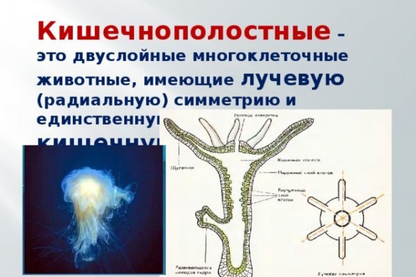 Кракен ссылка на сайт com